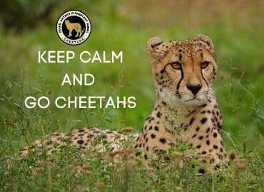 Keep Calm go Cheetahs Poster